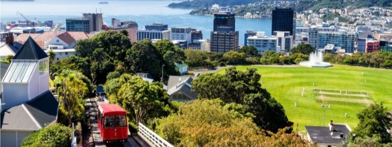 Wellington skyline 